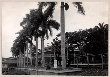 Gruppe von zwei Männern und einer Frau unter einer Palme während des Baus des Panamakanals, 1912 oder 1913